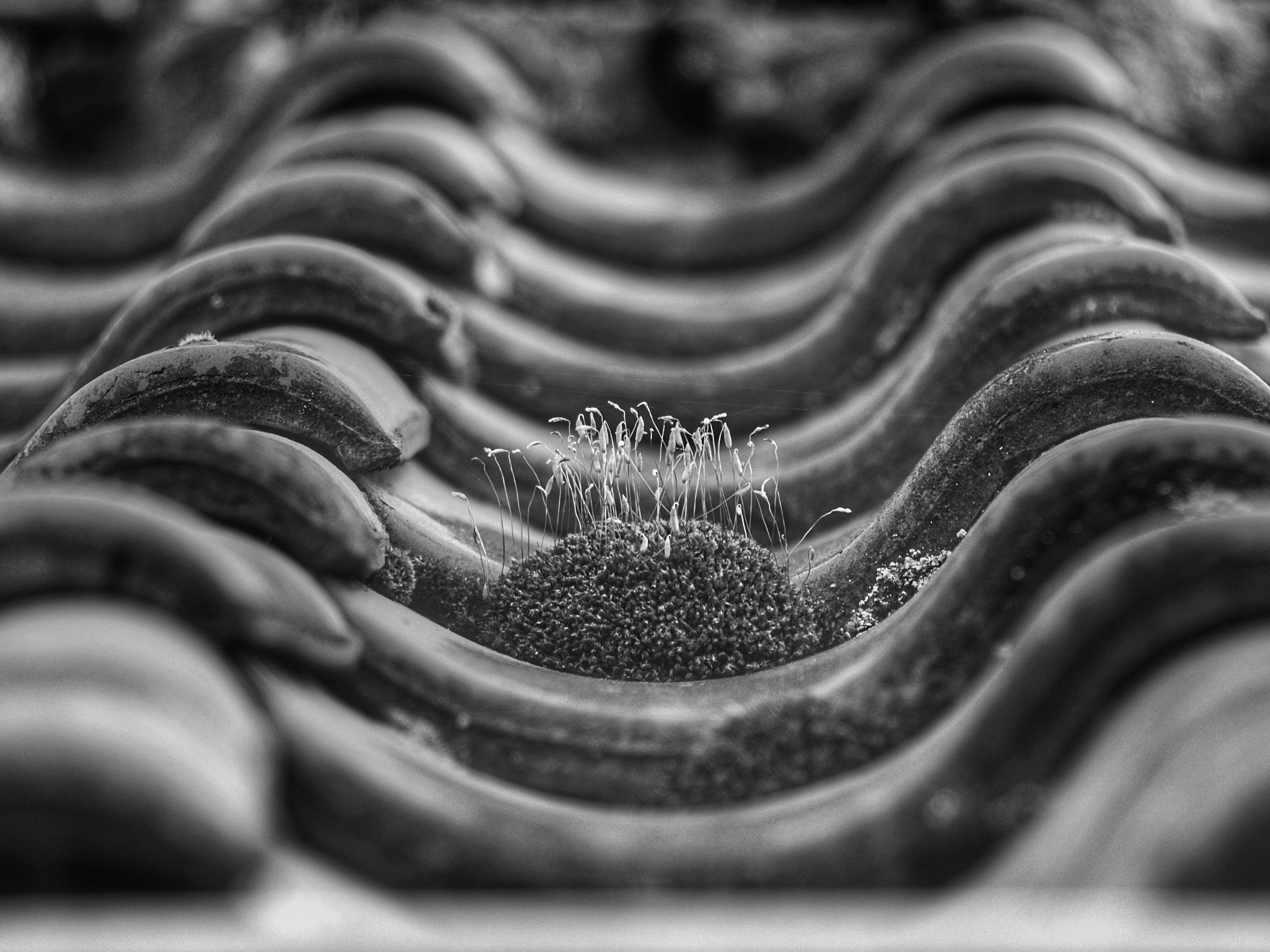 Rénovation de toiture : Protégez et sublimez votre habitat